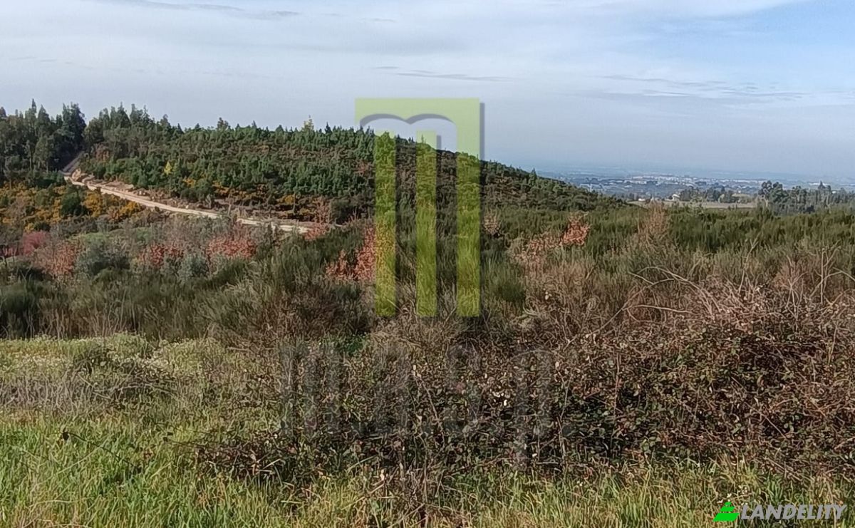 Działka na sprzedaż Oliveira do Hospital, Coimbra District, Portugal. Zdjęcie 7