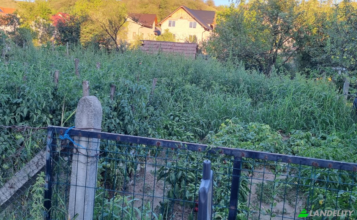 Mansion for Sale Strada Horea 31, Beclean 425100, Beclean, Bistrita-Nasaud County, Romania. Photo 4