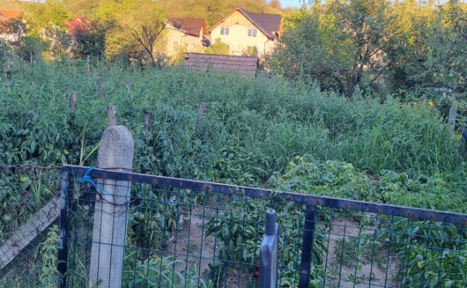 Mansion for Sale Strada Horea 31, Beclean 425100. Photo#4 Mansion for Sale Strada Horea 31, Beclean 425100. Photo#4