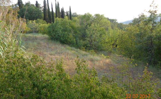 Land Lot for Sale Buljarica BB, Kaluderac. Photo#1 Land Lot for Sale Buljarica BB, Kaluderac. Photo#1
