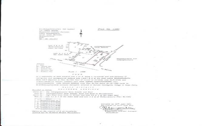 Land Lot for Sale Ocean Dreams, Ahangama, Galle. Photo#6 Land Lot for Sale Ocean Dreams, Ahangama, Galle. Photo#6