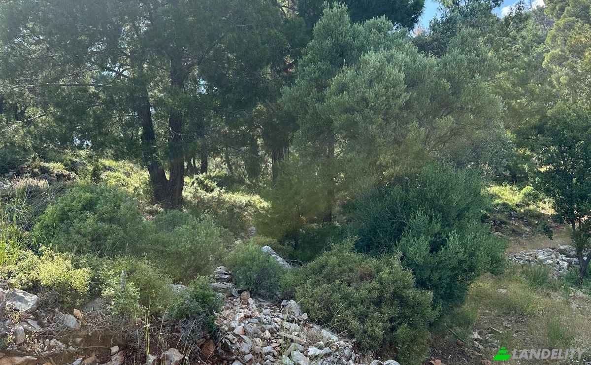 Grundstück zu verkaufen Isimsiz Yol, 48300 Fethiye Mugla, Fethiye Mugla, Fethiye, Mugla, Turkiye. Foto 5