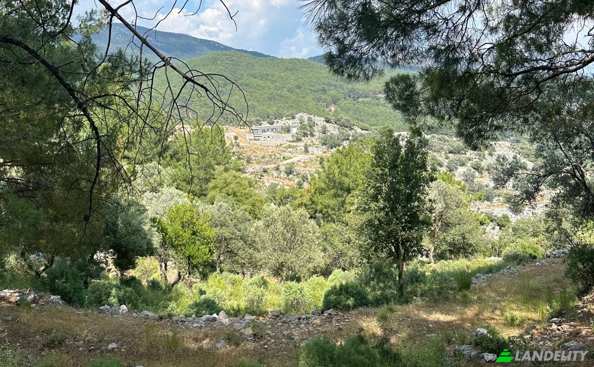 Grundstück zu verkaufen Isimsiz Yol, 48300 Fethiye Mugla, Fethiye Mugla, Fethiye, Mugla, Turkiye. Foto 8