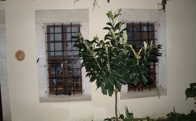 Eengezinswoning Te koop Pl El Venizelou. Foto#3