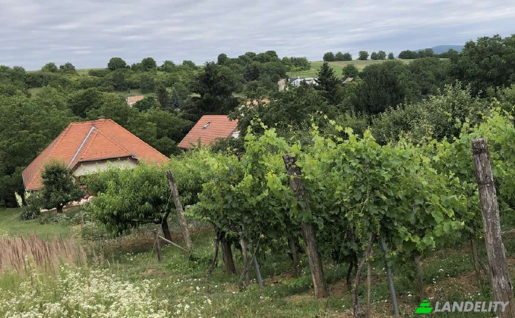 Single Family Home for Sale Pecs, Pecs District, Baranya, Hungary, Kispostavolgyi ut. Photo 2