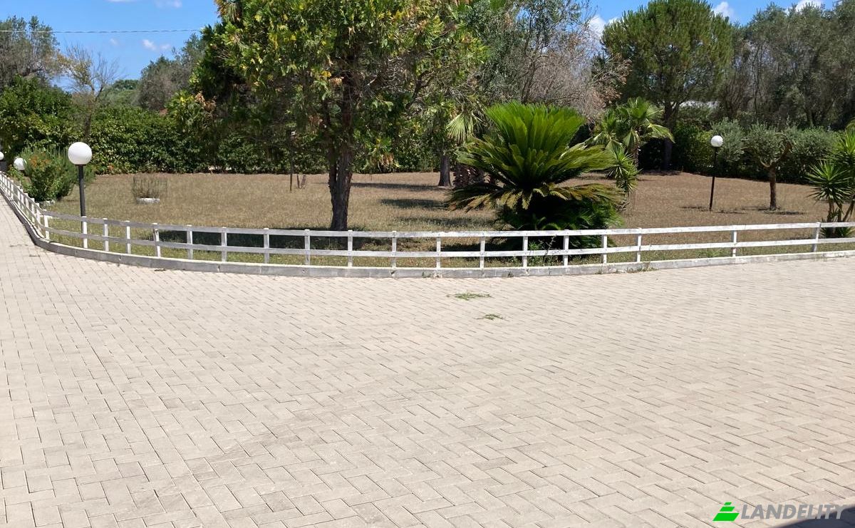 Apartment for Sale Contrada Corciolo, 72023 Torretta, Manfredonia BR, Mesagne, Province of Brindisi, Apulia, Italy. Photo 16