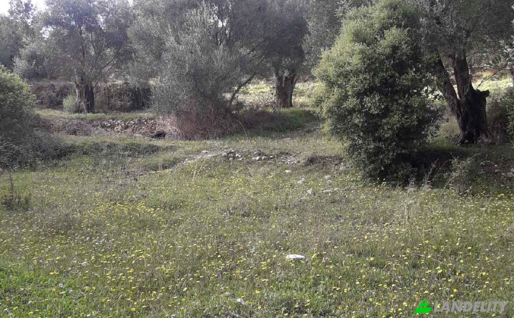 Land Lot for Sale EparOd Agious Theodorous, Kerkira, Melitiei, Ionian Islands, Decentralized Administration of Peloponnese, Western Greece and the Ionian, Greece. Photo 2