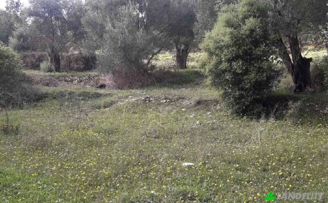 Land Lot for Sale EparOd Agious Theodorous. Photo#2 Land Lot for Sale EparOd Agious Theodorous. Photo#2