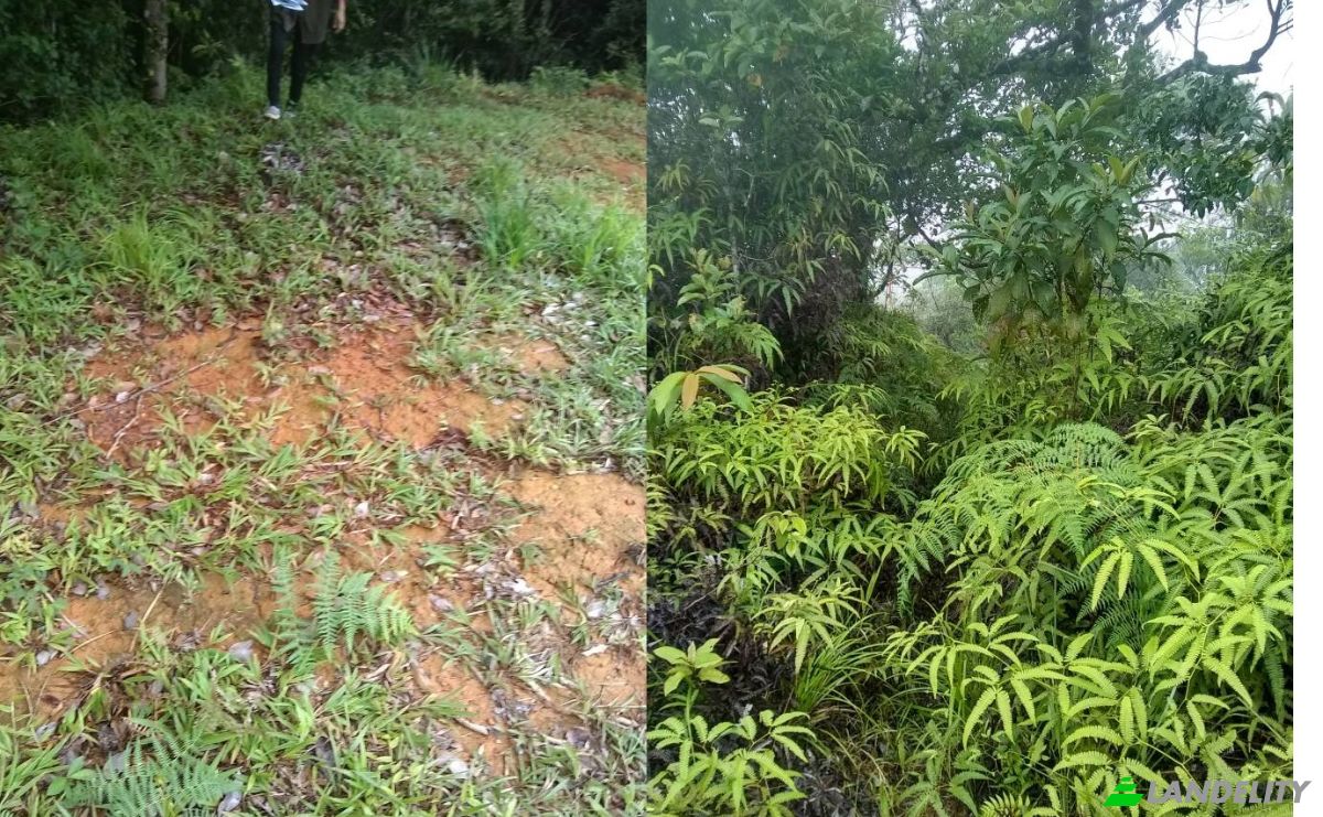 Land Lot for Sale Manzana 080817, Panama City, Panama, Panama Province. Photo 1