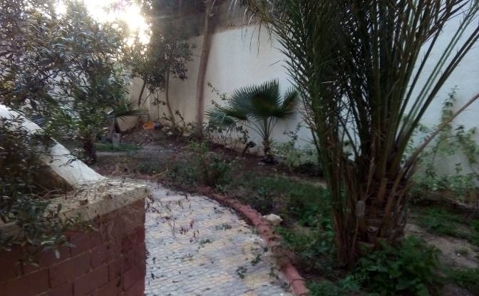 Single Family Home for Sale ADH Dheraa Al Bahri. Photo#5 Single Family Home for Sale ADH Dheraa Al Bahri. Photo#5