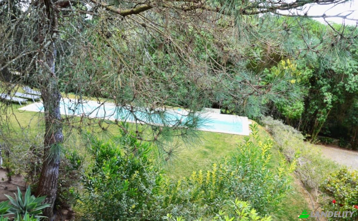 Single Family Home for Rent Ribatejo, Estoril, Cascais, Lisbon, Portugal. Photo 13