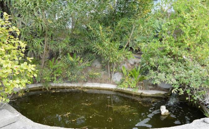 Single Family Home for Rent Ribatejo, Estoril. Photo#2 Single Family Home for Rent Ribatejo, Estoril. Photo#2