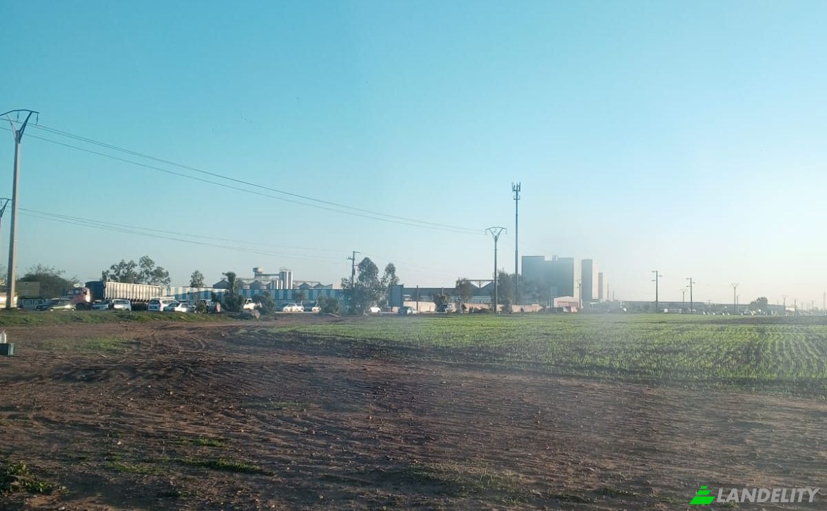 Land Lot for Sale Mansouria, Al Haouz, Marrakesh-Safi, Morocco. Photo 1
