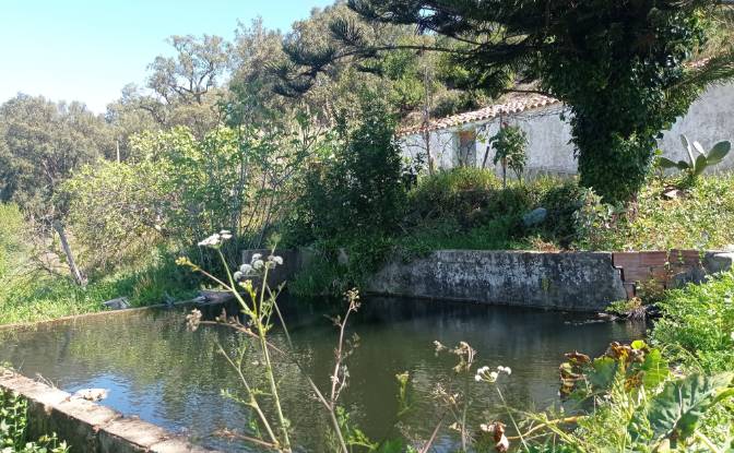 Land Lot for Sale - Marmelete, Portugal