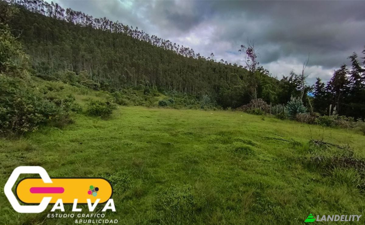 Grondperceel Te koop Via sin nombre, Potrerillos, Gonzanama, Loja, Ecuador. Foto 11