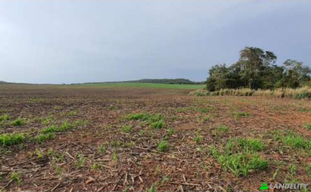 Land Lot for Sale Alto Coite, Poxoreu, Bahia - Alto Coite, Poxoreo, State of Mato Grosso, Brazil. Photo 10
