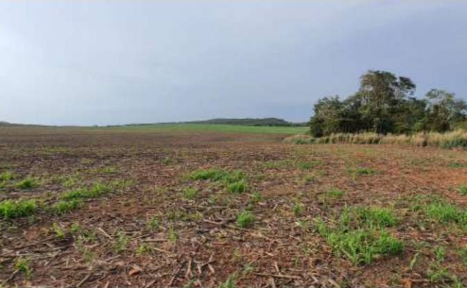 Land Lot for Sale Alto Coite, Poxoreu. Photo#10 Land Lot for Sale Alto Coite, Poxoreu. Photo#10