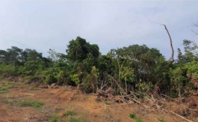 Land Lot for Sale Alto Coite, Poxoreu. Photo#11 Land Lot for Sale Alto Coite, Poxoreu. Photo#11