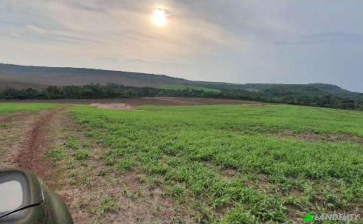 Land Lot for Sale Alto Coite, Poxoreu, Bahia - Alto Coite, Poxoreo, State of Mato Grosso, Brazil. Photo 12