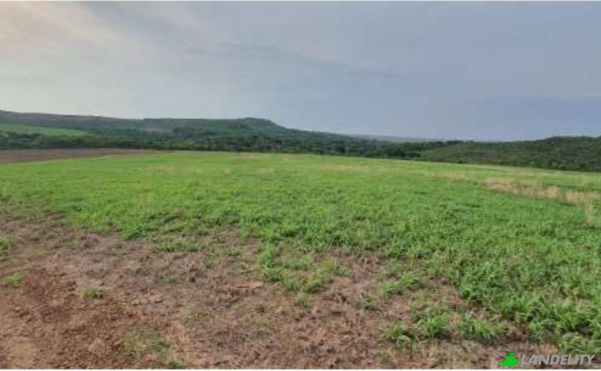 Land Lot for Sale Alto Coite, Poxoreu, Bahia - Alto Coite, Poxoreo, State of Mato Grosso, Brazil. Photo 13