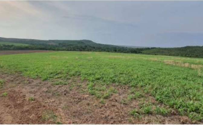 Land Lot for Sale Alto Coite, Poxoreu. Photo#13 Land Lot for Sale Alto Coite, Poxoreu. Photo#13