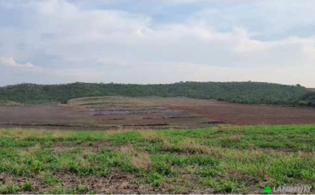 Land Lot for Sale Alto Coite, Poxoreu, Bahia - Alto Coite, Poxoreo, State of Mato Grosso, Brazil. Photo 14