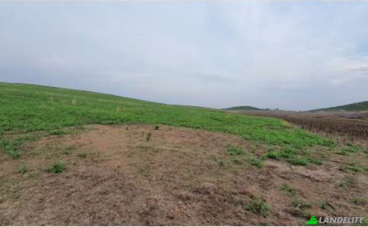 Land Lot for Sale Alto Coite, Poxoreu, Bahia - Alto Coite, Poxoreo, State of Mato Grosso, Brazil. Photo 15