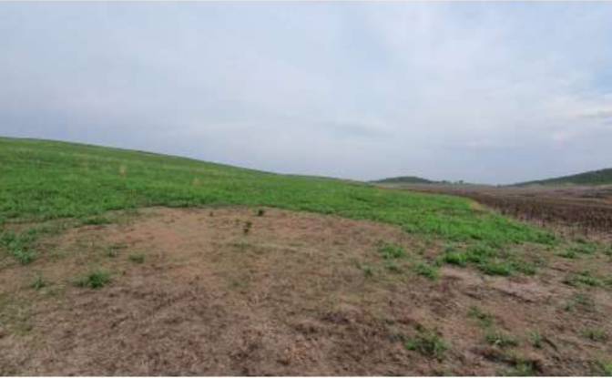Land Lot for Sale Alto Coite, Poxoreu. Photo#15 Land Lot for Sale Alto Coite, Poxoreu. Photo#15