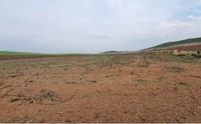 Land Lot for Sale Alto Coite, Poxoreu. Photo#16 Land Lot for Sale Alto Coite, Poxoreu. Photo#16