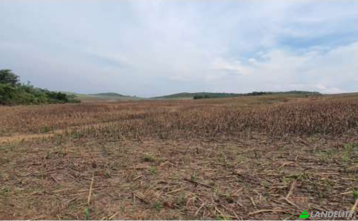 Land Lot for Sale Alto Coite, Poxoreu, Bahia - Alto Coite, Poxoreo, State of Mato Grosso, Brazil. Photo 17