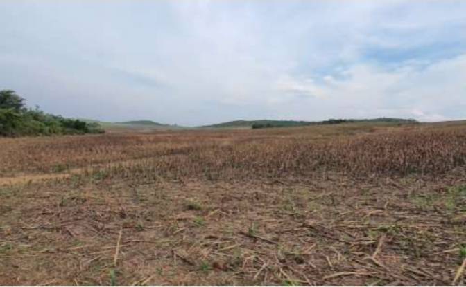 Land Lot for Sale Alto Coite, Poxoreu. Photo#17 Land Lot for Sale Alto Coite, Poxoreu. Photo#17