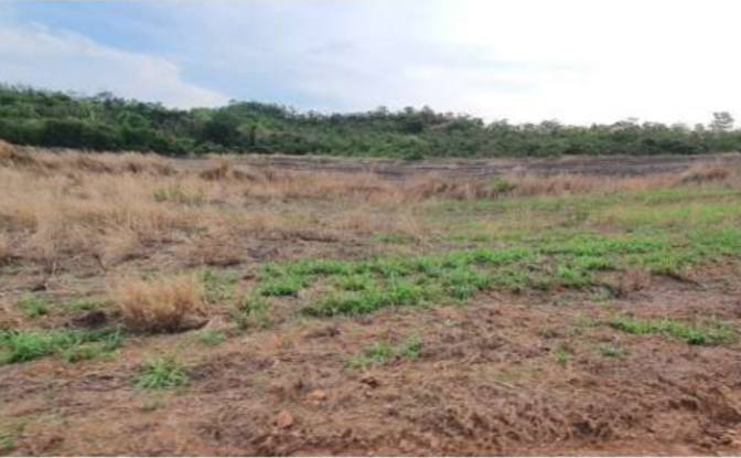 Land Lot for Sale Alto Coite, Poxoreu. Photo#20 Land Lot for Sale Alto Coite, Poxoreu. Photo#20