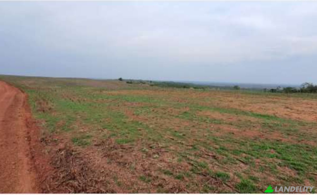 Land Lot for Sale Alto Coite, Poxoreu, Bahia - Alto Coite, Poxoreo, State of Mato Grosso, Brazil. Photo 21