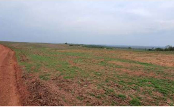 Land Lot for Sale Alto Coite, Poxoreu. Photo#21 Land Lot for Sale Alto Coite, Poxoreu. Photo#21
