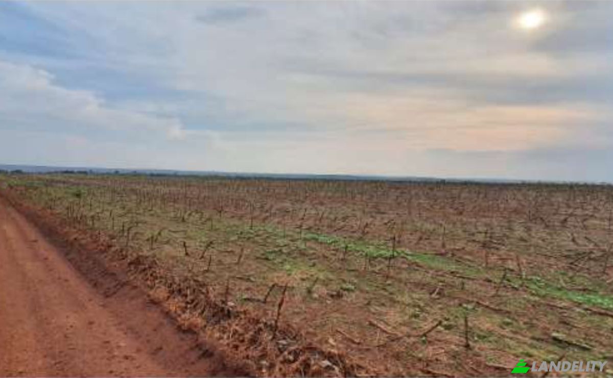 Land Lot for Sale Alto Coite, Poxoreu, Bahia - Alto Coite, Poxoreo, State of Mato Grosso, Brazil. Photo 22