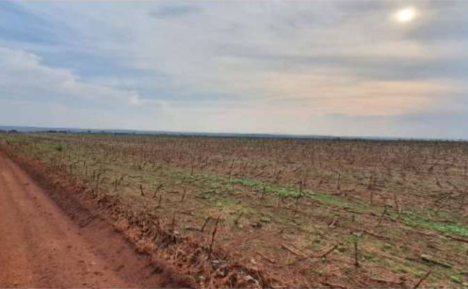 Land Lot for Sale Alto Coite, Poxoreu. Photo#22 Land Lot for Sale Alto Coite, Poxoreu. Photo#22