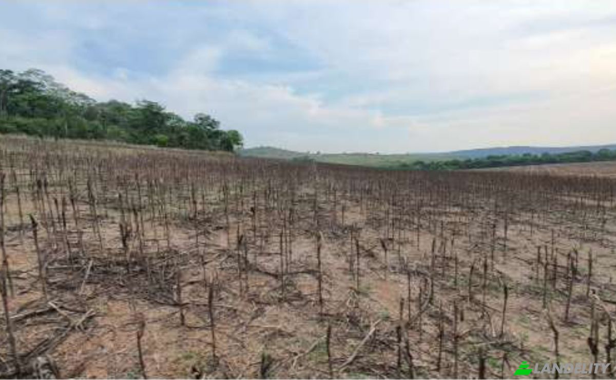 Land Lot for Sale Alto Coite, Poxoreu, Bahia - Alto Coite, Poxoreo, State of Mato Grosso, Brazil. Photo 23