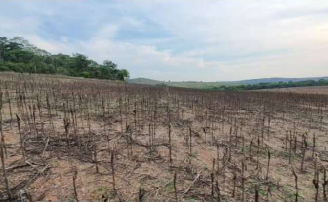 Land Lot for Sale Alto Coite, Poxoreu. Photo#23 Land Lot for Sale Alto Coite, Poxoreu. Photo#23