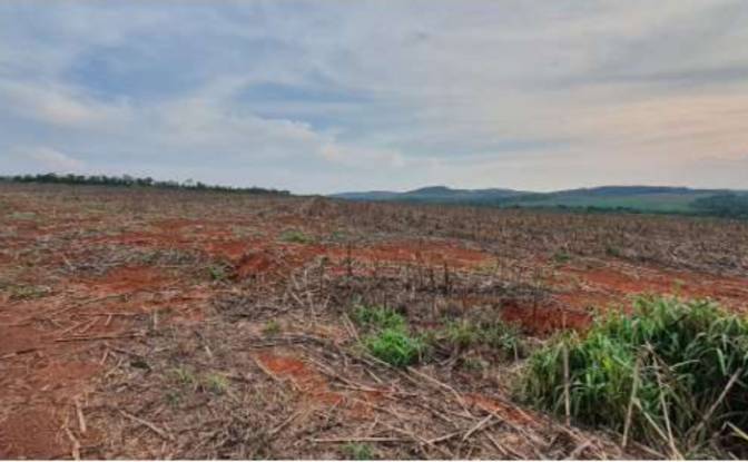 Land Lot for Sale Alto Coite, Poxoreu. Photo#25 Land Lot for Sale Alto Coite, Poxoreu. Photo#25