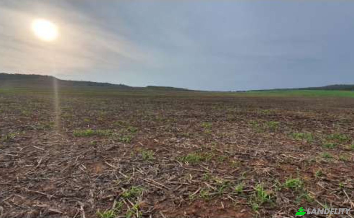 Land Lot for Sale Alto Coite, Poxoreu, Bahia - Alto Coite, Poxoreo, State of Mato Grosso, Brazil. Photo 9