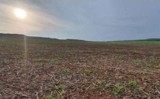 Land Lot for Sale Alto Coite, Poxoreu. Photo#9 Land Lot for Sale Alto Coite, Poxoreu. Photo#9