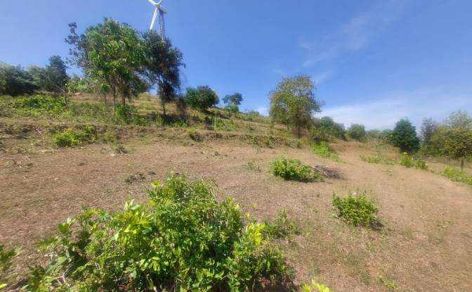 Land Lot for Sale - Sholayur, India