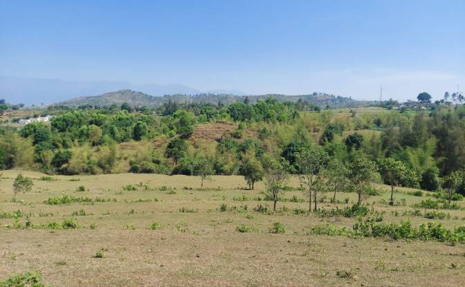 Land Lot for Sale Sholayur, Palakkad, Kerala. Photo#2