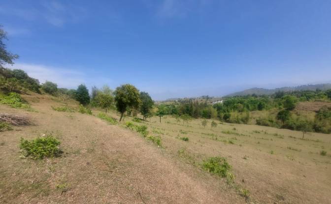 Land Lot for Sale Sholayur, Palakkad, Kerala. Photo#3