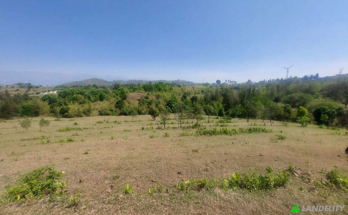 Land Lot for Sale Sholayur, Palakkad, Kerala, India, Kerala 678581. Photo 4