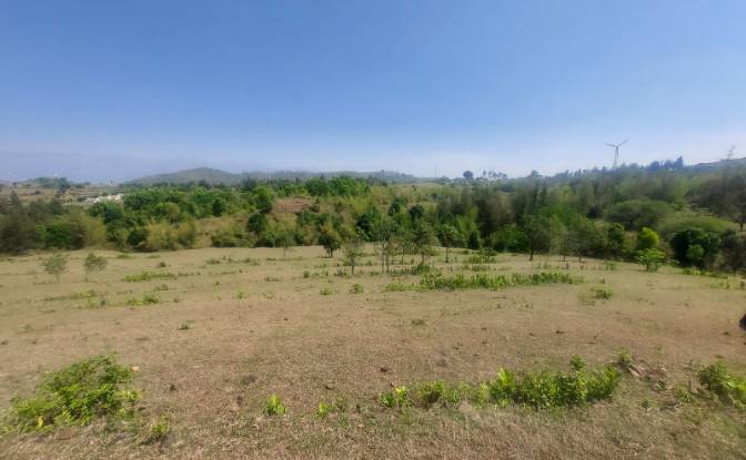 Land Lot for Sale Sholayur, Palakkad, Kerala. Photo#4