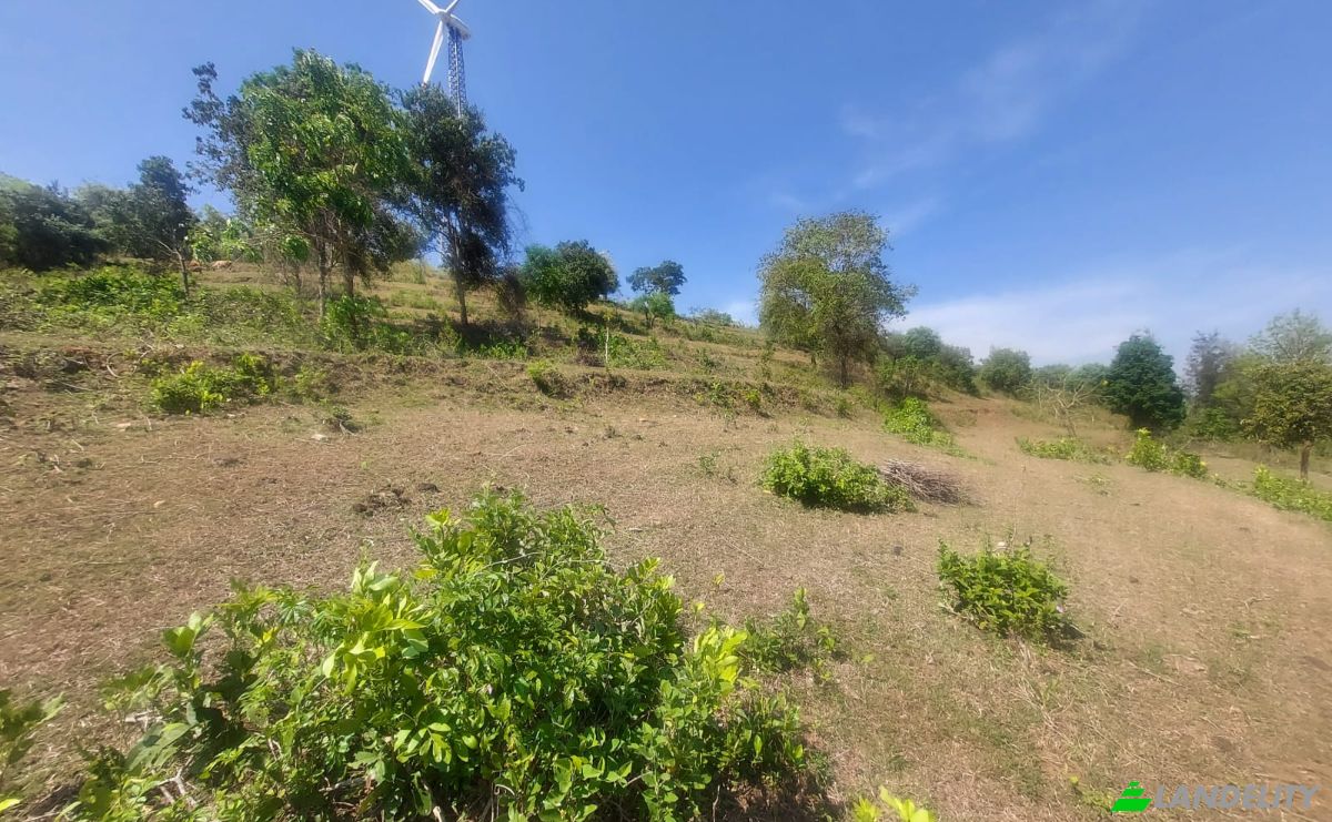 Land Lot for Sale Sholayur, Palakkad, Kerala, India, Kerala 678581. Photo 5