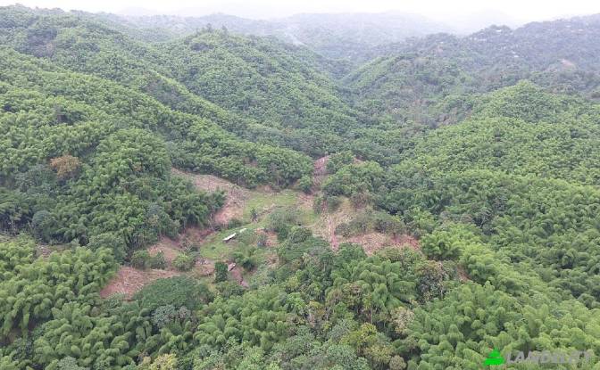Land Lot for Sale Kingston, St Andrew Parish. Photo#2