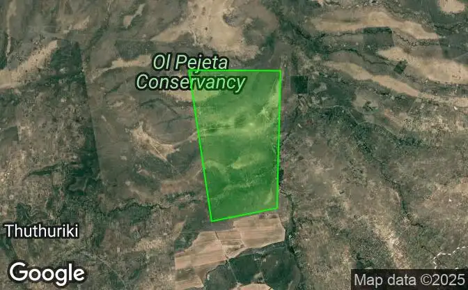Show on map Property #31805 - Property Location on the Map