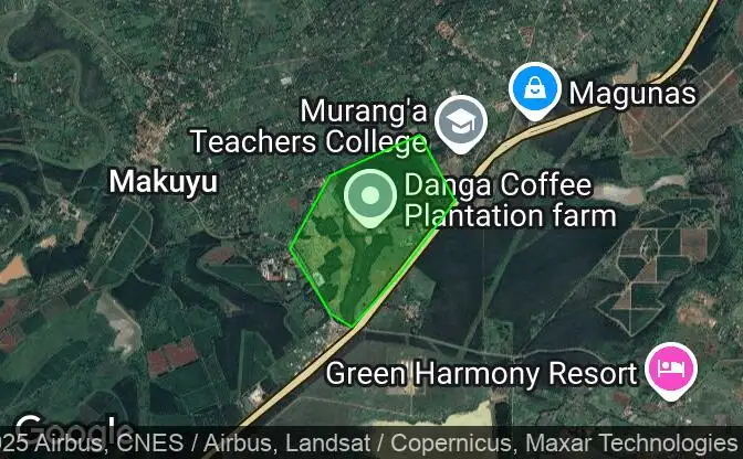 Show on map Property #31903 - Property Location on the Map